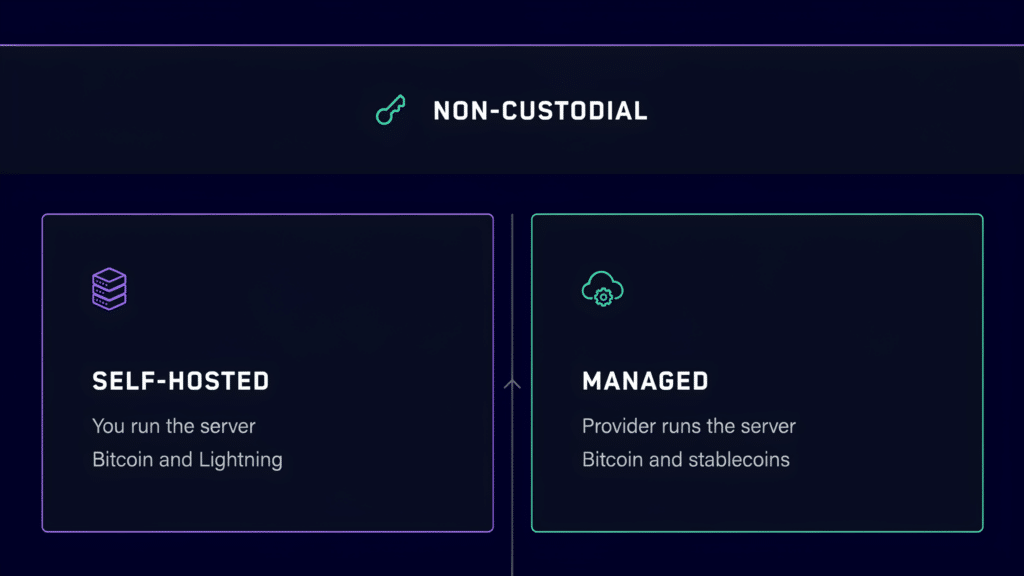 BTCPay Server Alternatives