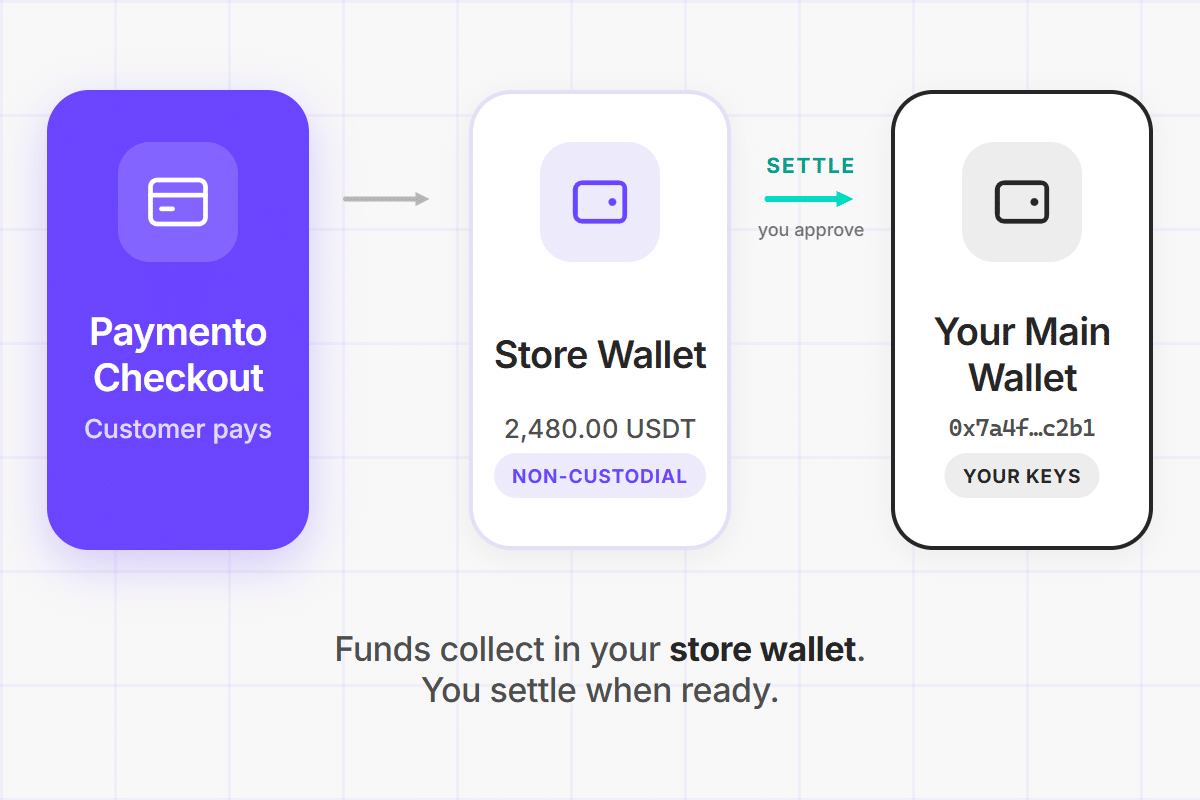 Non-custodial embedded wallet payment