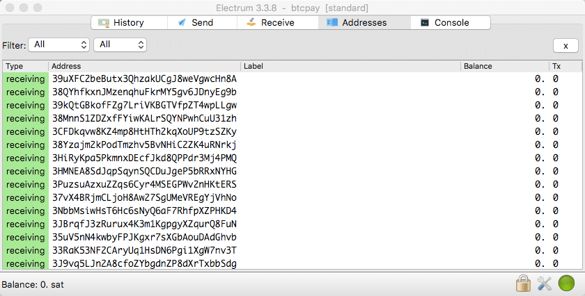 A dashboard displaying extended public keys (xPub keys).